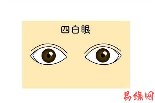 易缘网客户端易缘网官方下载-第2张图片-太平洋在线下载