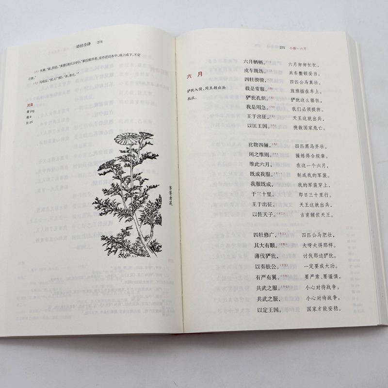 诗经版小苹果藏在诗经里的绝美名字-第1张图片-太平洋在线下载
