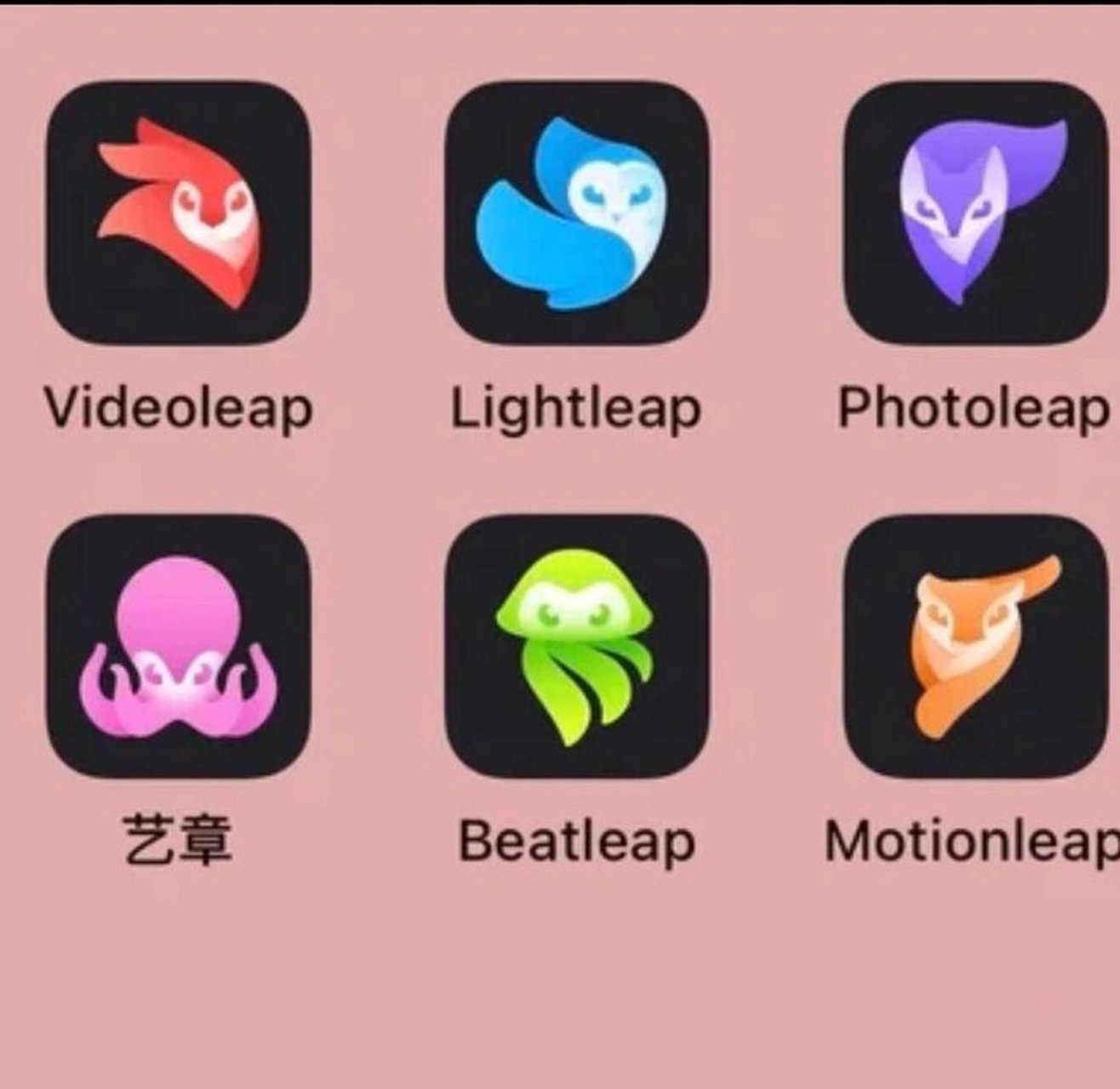 关于安卓版videoleap和苹果版的信息-第2张图片-太平洋在线下载